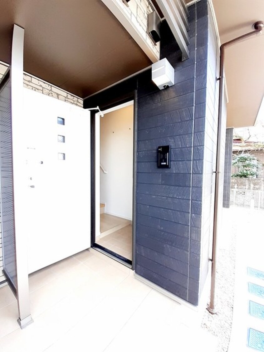  ブラウェ　フェーゲル　Ⅱ