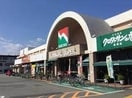 ナンコクスーパー 高須店(スーパー)まで231m ハイネス KIYO