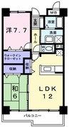 フランスクエア 2LDKの間取り