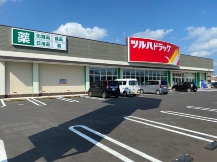 ツルハドラッグ 南国中央店(ドラッグストア)まで395m カーサMoTo
