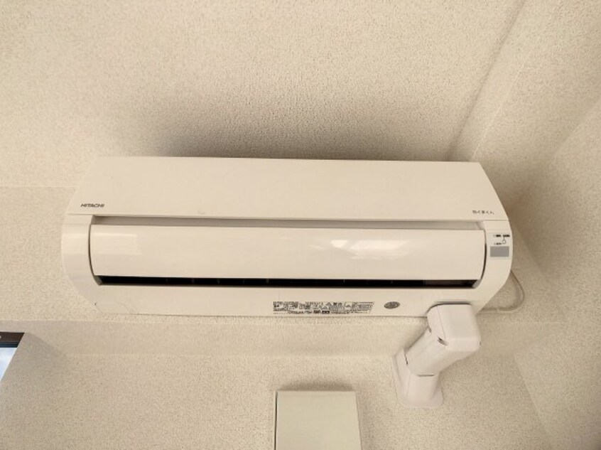 2022年12月撮影 カルムⅡ