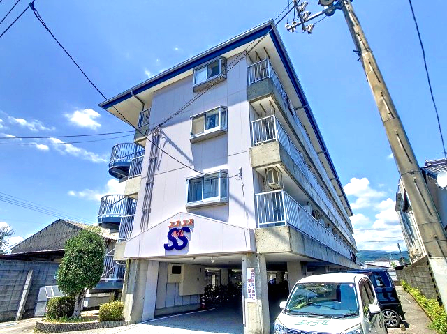 2023年7月撮影