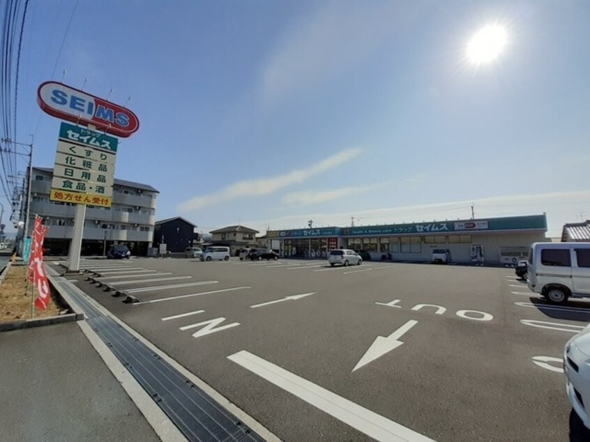 ドラッグセイムス土佐山田店(ドラッグストア)まで298m 土讃線/土佐山田駅 徒歩8分 2階 築28年