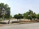 錦城公園(公園)まで572m リブハウス・ラビット　Ⅱ