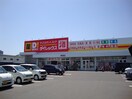 ダイレックス 南国店(ディスカウントショップ)まで500m アドバンス