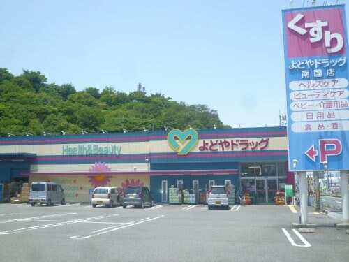 よどやドラッグ南国大埇店(ドラッグストア)まで2954m フォブール松岡 B棟