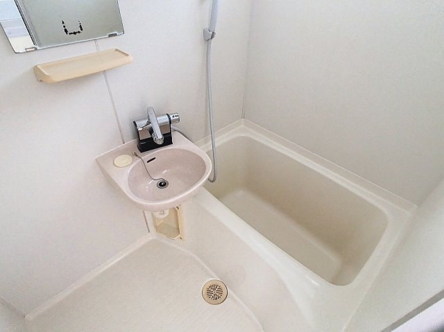 2025年7月撮影※現況を優先します。 ハイツラベンダー