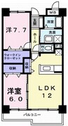 フランスクエア 2LDKの間取り
