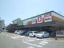 サニーアクシス 南国店(スーパー)まで438m 本岡コーポ