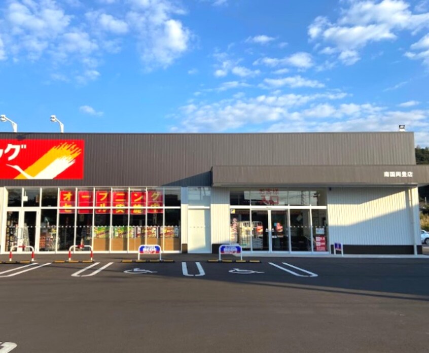 ツルハドラッグ 南国岡豊店(ドラッグストア)まで791m おこう仁ハイツ B棟