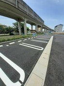  カレッジライトＮＥ