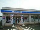 ローソン 野市町西野店(コンビニ)まで196m サルーチェ A棟