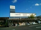 マルニガーデン(電気量販店/ホームセンター)まで1113m シャーメゾン篠原