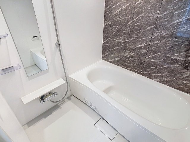 2024年5月撮影分 デナーダ