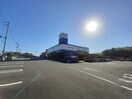 マルニガーデン(電気量販店/ホームセンター)まで1435m シングルカレント