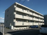 メゾン チノ丸