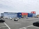 ケーズデンキ東金店(電気量販店/ホームセンター)まで695m サンフラワー