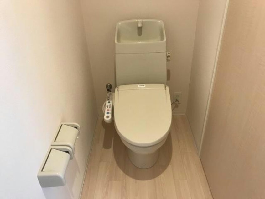  アヴァンス・アカツカ