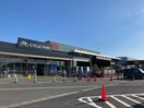 カインズ東金店(電気量販店/ホームセンター)まで1653m アヴァンス・アカツカ