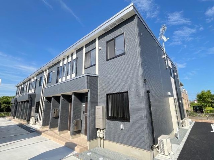  ディア　マイアミ