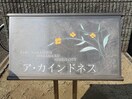  ア・カインドネス