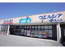 ウエルシア姫路亀山店(ドラッグストア)まで1218m レガートⅡ　C