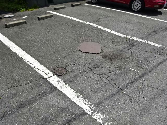  エルハイツイイダ