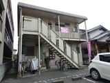プリムローズ