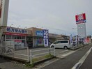 ウエルシア姫路大津店(ドラッグストア)まで837m コンフォートM