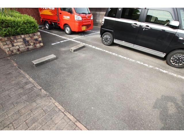  エクセルコート