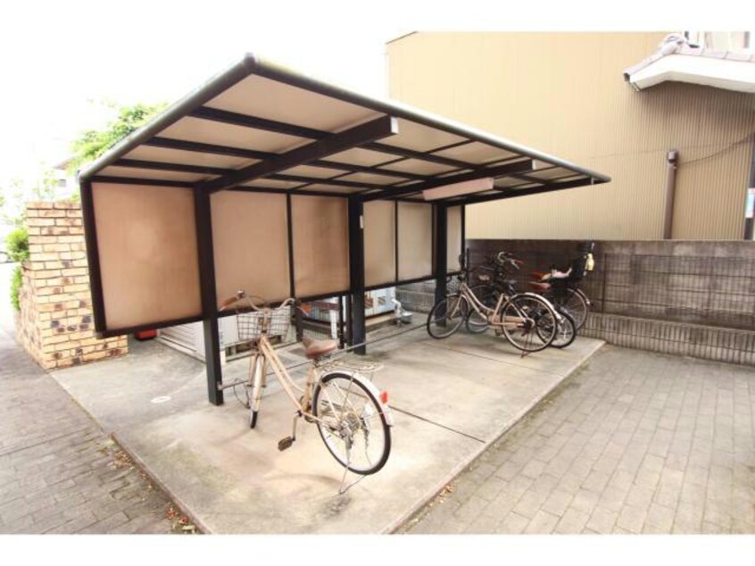  エクセルコート