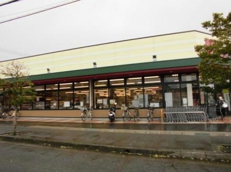 ボンマルシェ南条店(スーパー)まで622m メゾンプラシードⅠ