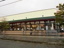 ボンマルシェ南条店(スーパー)まで511m アウローラ市川