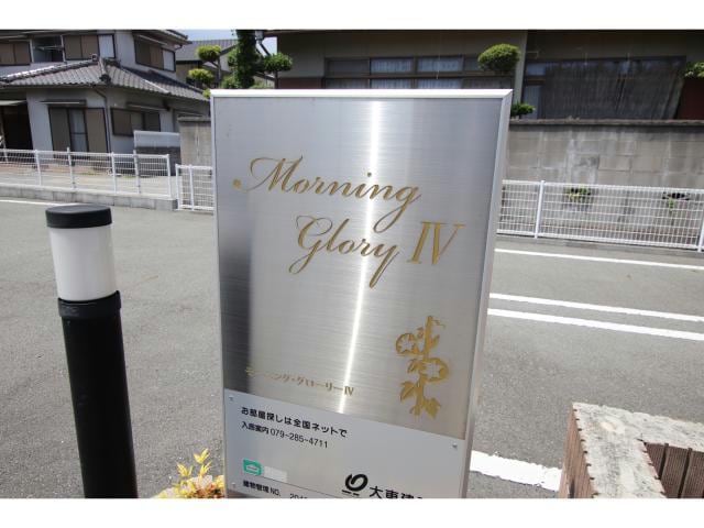  モーニング・グローリーⅣ