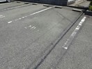  フォレスト