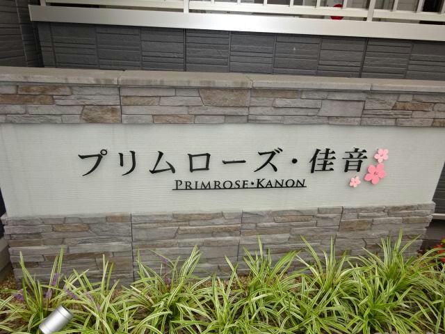  プリムローズ・佳音