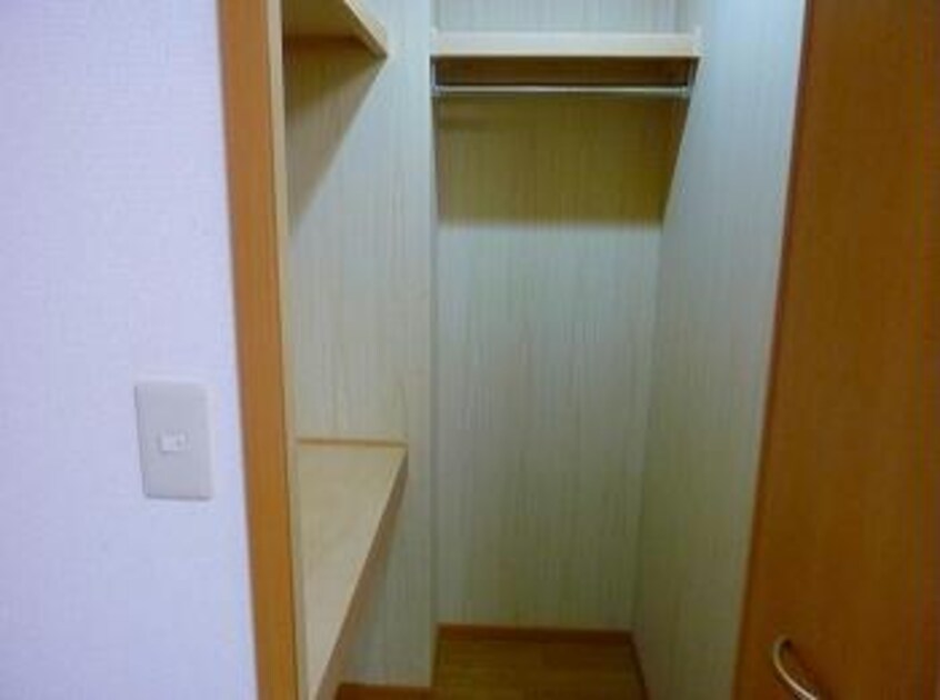  モーニンググローブ