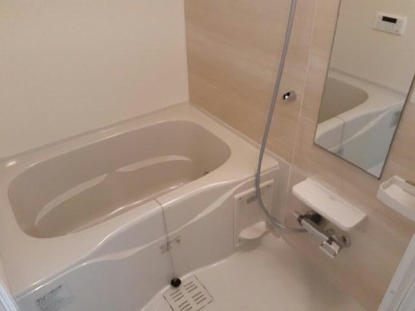  ラフレシール・ベルⅤ