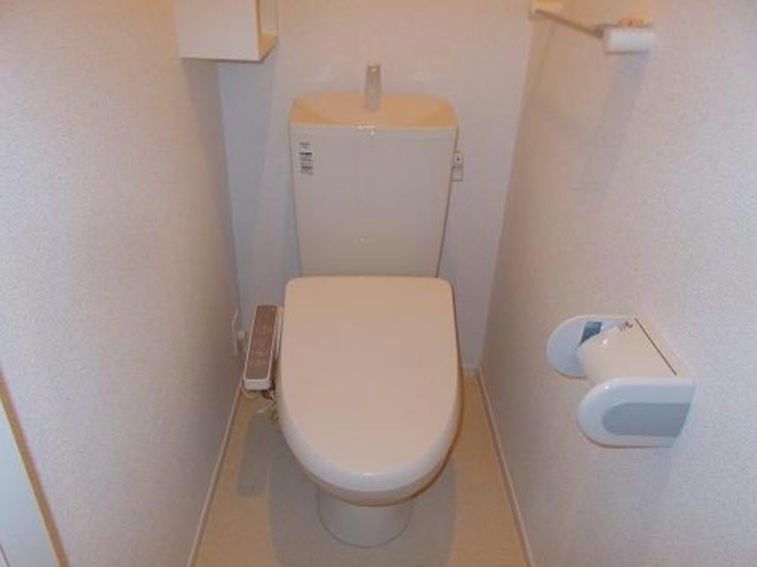  スプリング　ブリーズ