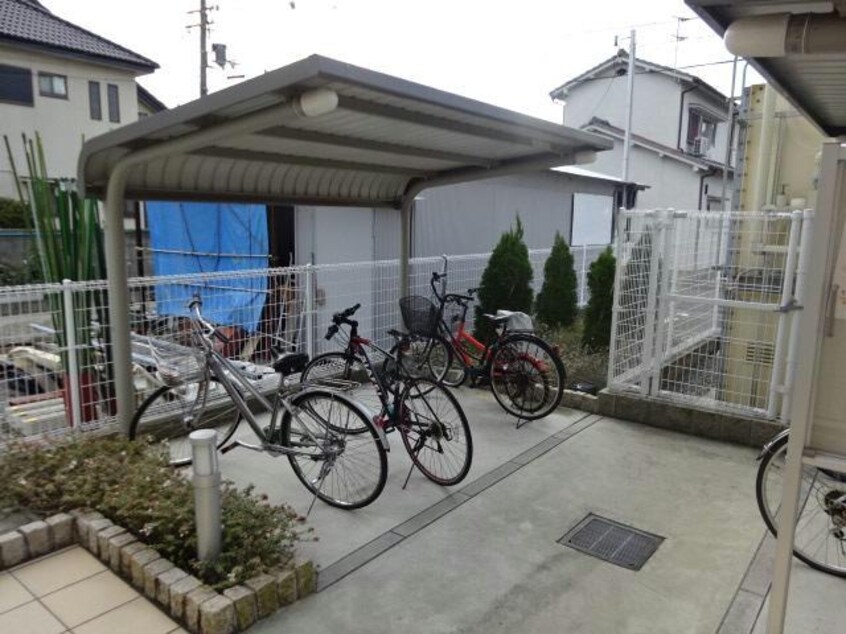  フィレール　デュ　トラジャV