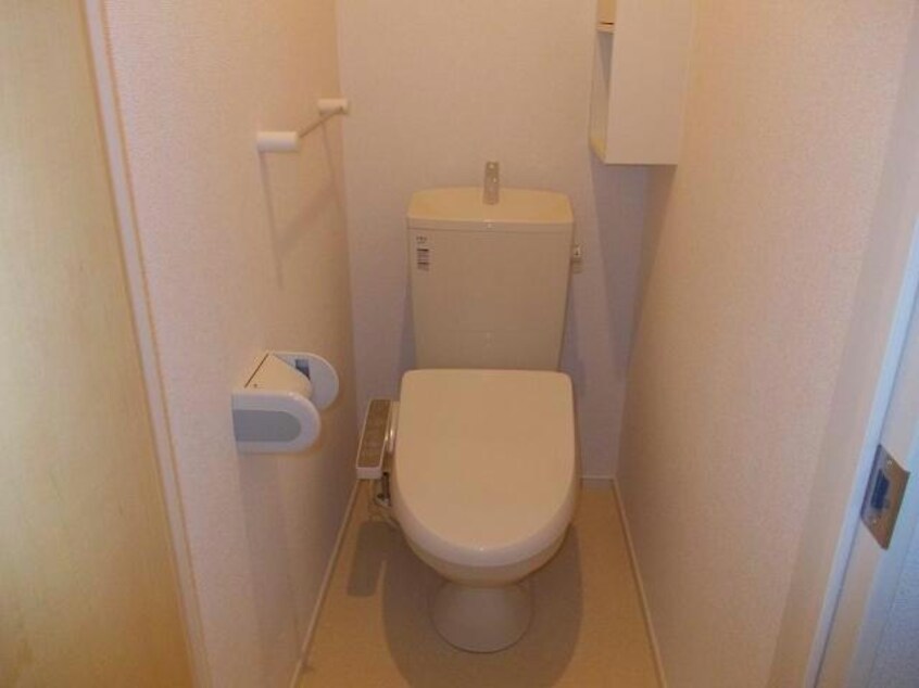  フィレール　デュ　トラジャV