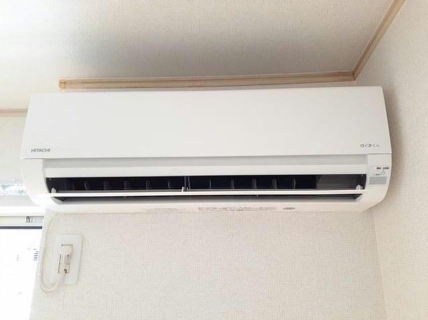  アンジェリカⅡ