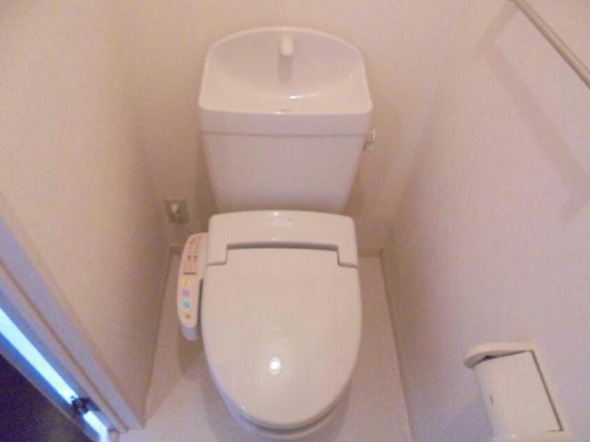  ダンディライオン