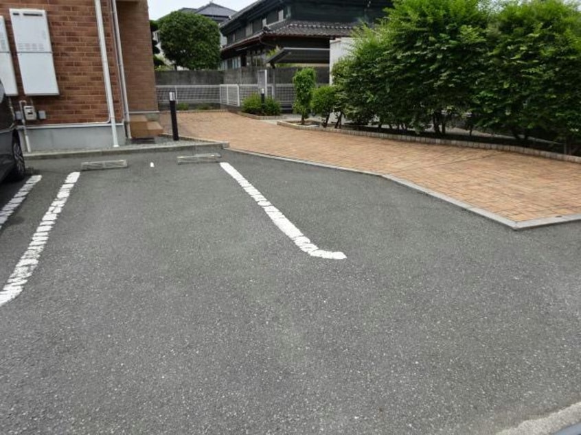  ワイズ　コンブリオ