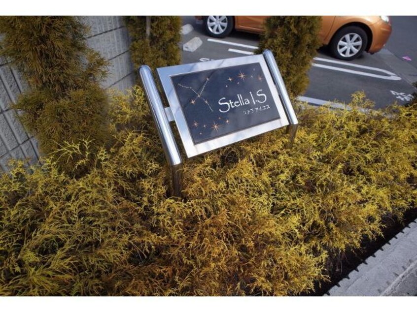  ステラ　アイエス