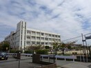 姫路市立大津茂小学校(小学校)まで1590m カサデエスペランサ