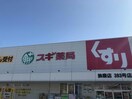 スギ薬局姫路飾磨店(ドラッグストア)まで671m グリーンハウス細江