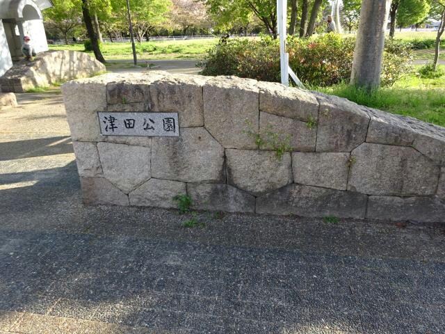 津田公園(公園)まで639m ライフタウン
