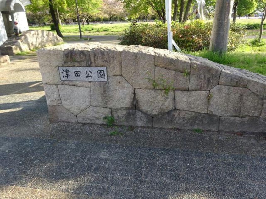 津田公園(公園)まで639m ライフタウン