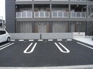  ソラナ